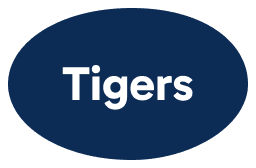 Detroit Tigers