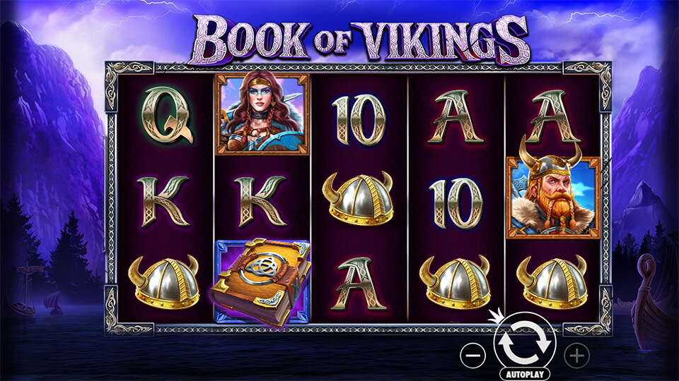 Book of Vikings