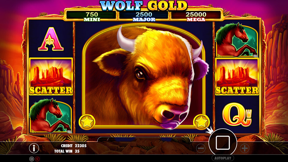 Wolf Gold