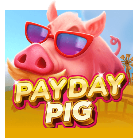 Payday Pig