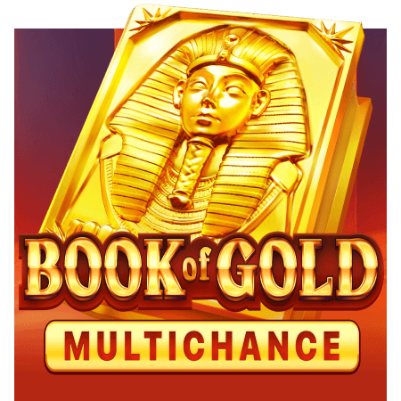 Book of Gold Multichance