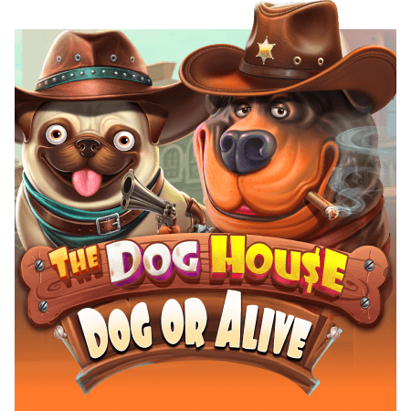 The Dog House - Dog or Alive