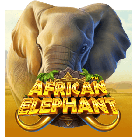 African Elephant