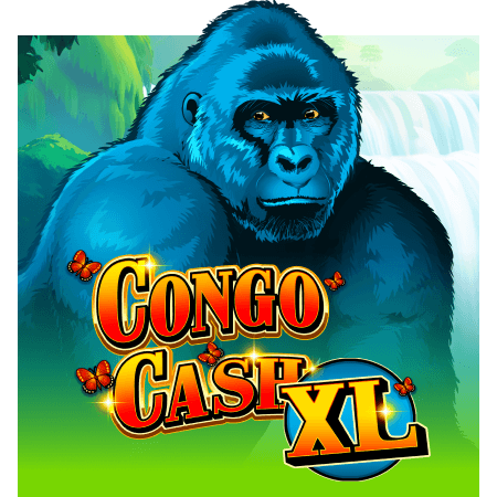 Congo Cash XL