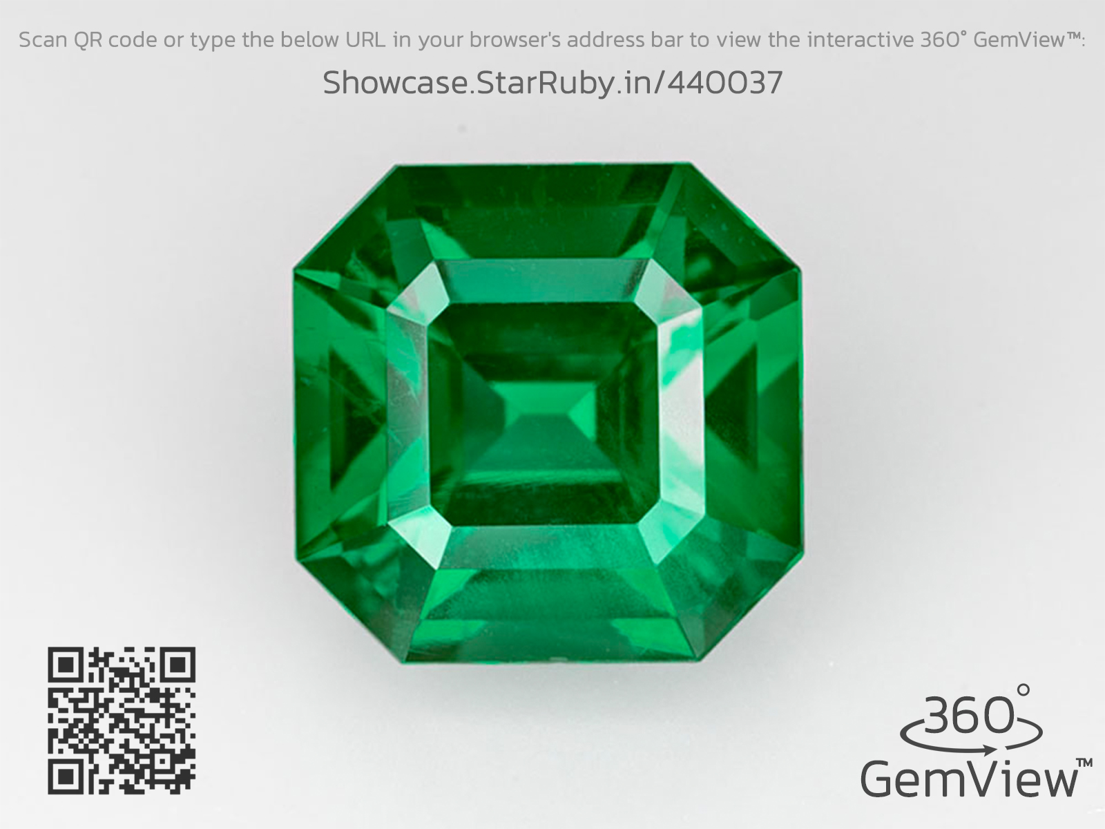 Image-GemView-Front-QR.jpg