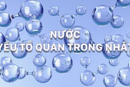 Nước trong trạng thái lỏng – Yếu tố quan trọng nhất của sự sống | Phim khoa học (Thuyết Minh)