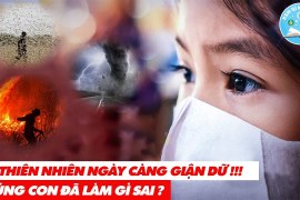 D.Ị.C.H B.Ệ.N.H Lạ, Nam Cực Nóng 20 Độ, Châu Chấu Hoành Hành – Chúng Ta Cần Phải Làm Gì?