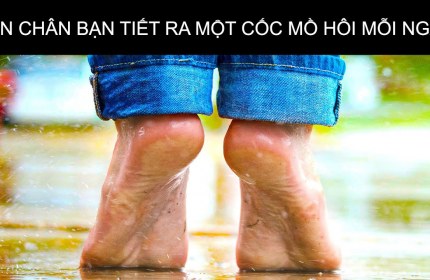 47 Sự Thật Chưa được Biết đến Sẽ Làm Bạn Tự hào về Cơ thể Con người