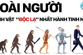 Những Đặc Điểm Sinh Học Độc Nhất Vô Nhị Của Con Người | Khám Phá Con Người