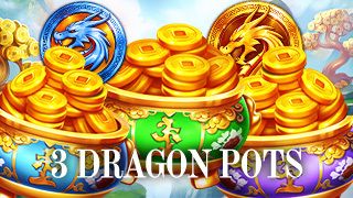 3 Dragon Pots
