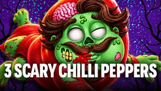 3 Scary Chilli Peppers