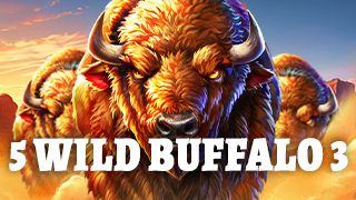 5 Wild Buffalo 3