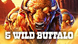 5 Wild Buffalo