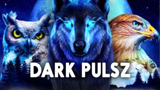 Dark Pulsz