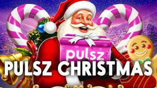Pulsz Christmas