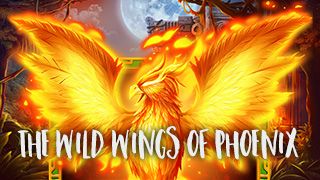 The Wild Wings of Phoenix
