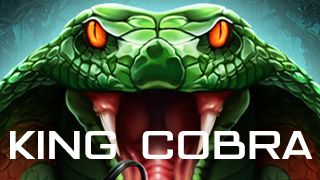 King Cobra