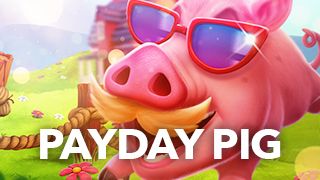 Payday Pig