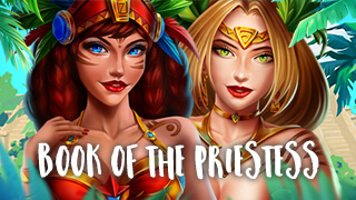 Book Of The Priestess