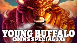 Young Buffalo Coins Special 3x5