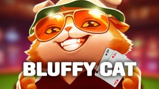 Bluffy Cat