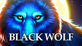 Black Wolf