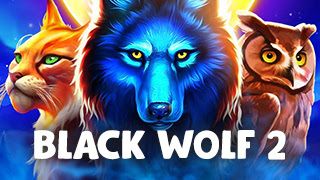 Black Wolf 2