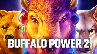 Buffalo Power 2: Hold and Win