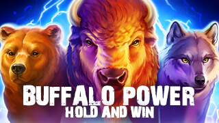 Buffalo Power Hold and Win