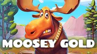 Moosey Gold