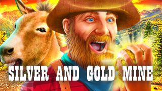 Silver and Gold Mine