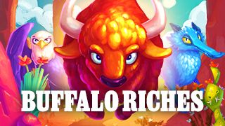 Buffalo Riches