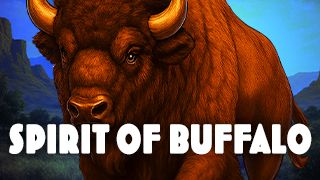 Spirit of the Buffalo - Hold for Gold