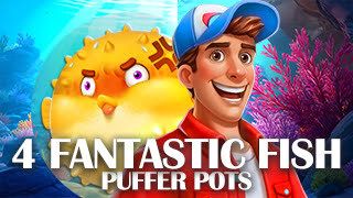 4 Fantastic Fish Puffer Pots
