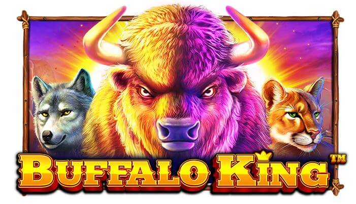 The Buffalo King