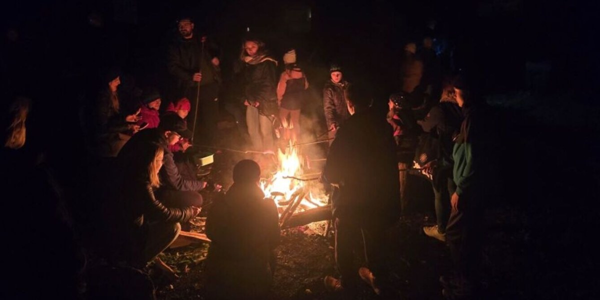 Nocne życie lasu w Puławach. ZDM zaprasza na wieczorną wycieczkę