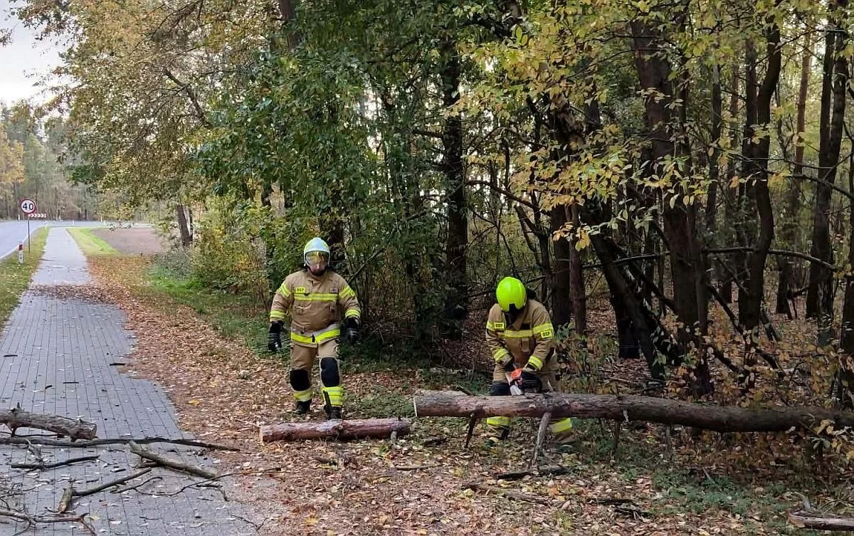 Strażacy interweniowali na drodze powiatowej