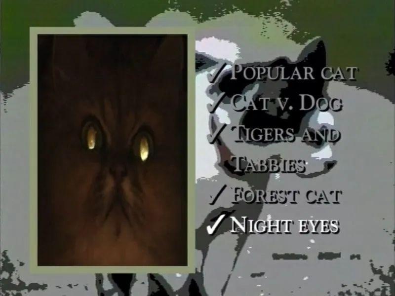 A cat with shining, nocturnal eyes next to a list of episode topics.