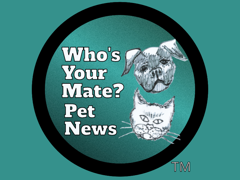 A circular logo featuring dog and cat faces and logo text with a shining Jade background.