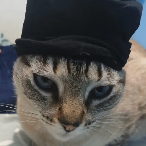 JakeIOI