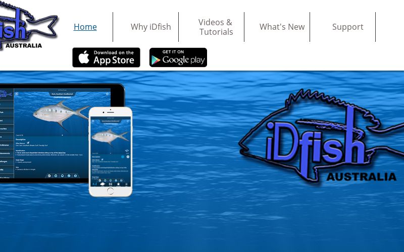 iDfish - Fish Identification Application