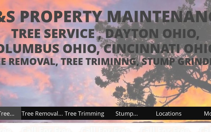 how-much-does-it-cost-to-remove-a-tree-or-trees-average-cost-to-remove