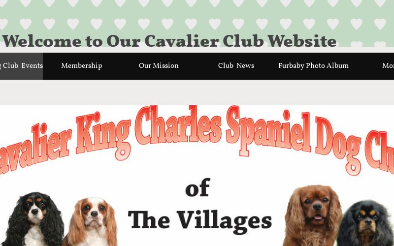 Welcome to Cavalier Rescue USA