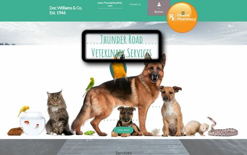Thunder Road Veterinary Services Thunder Road Veterinary Services