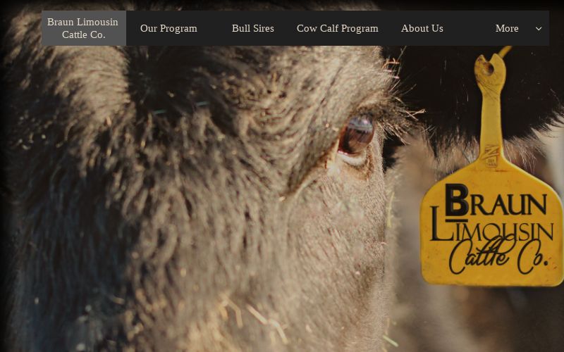 Cow Calf Program