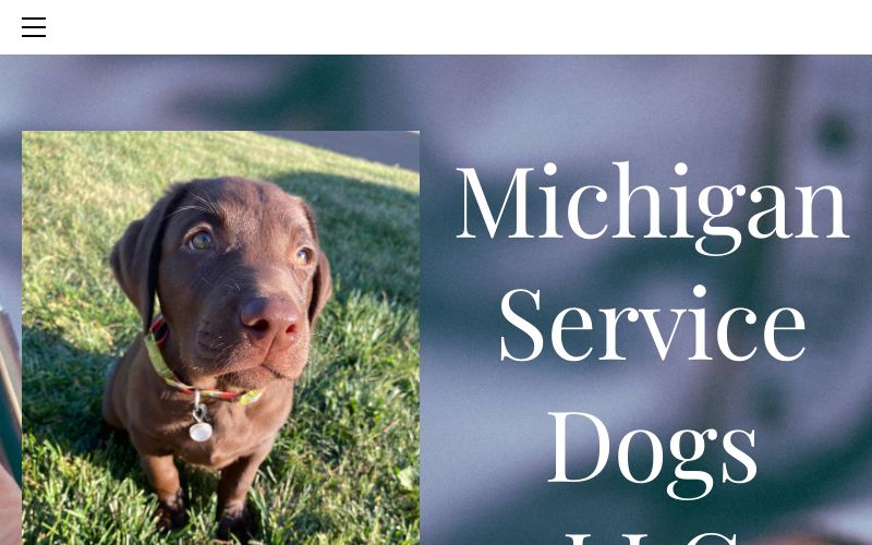 Michigan Service Dogs LLC