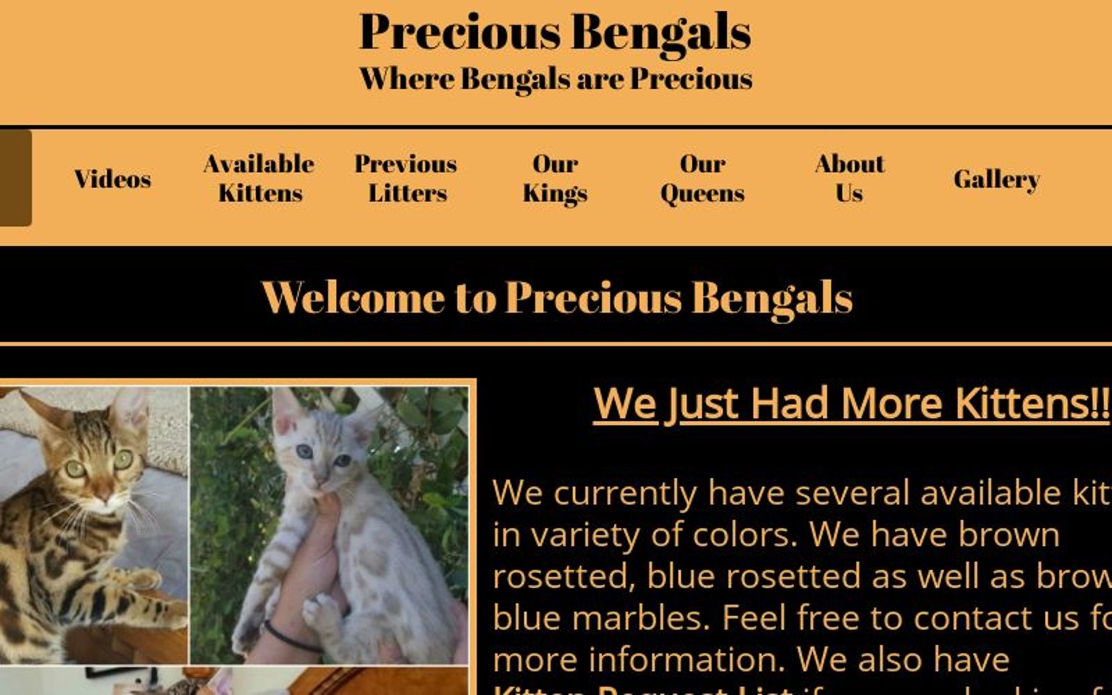 preciousbengals.com logo