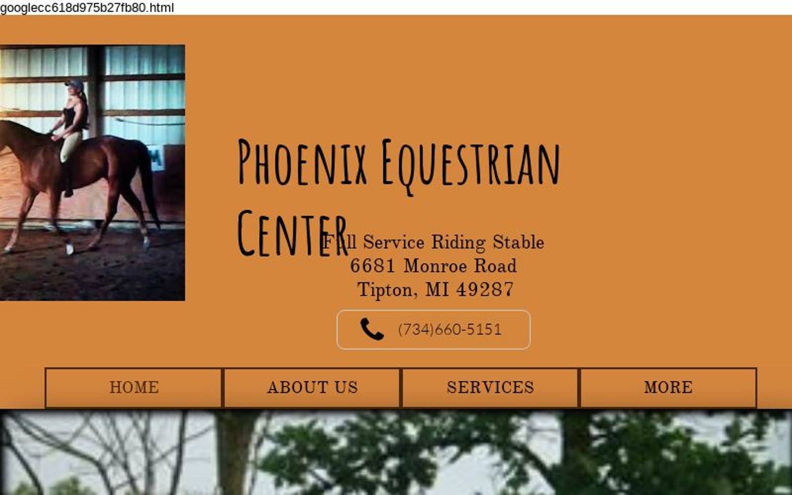 Phoenix Equestrian Center Home Page