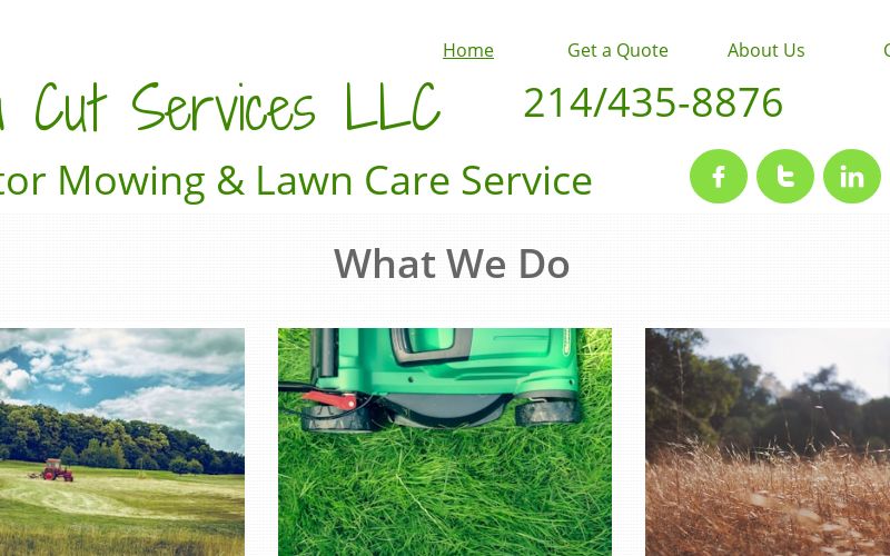 standard lawn care