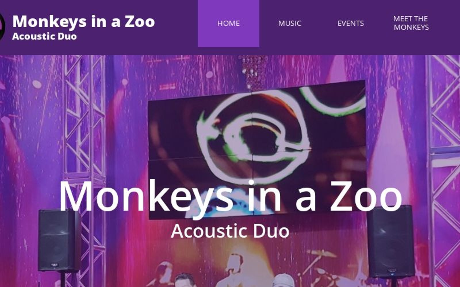 MINNEAPOLIS ST. PAUL ACOUSTIC DUO MONKEYS IN A ZOO